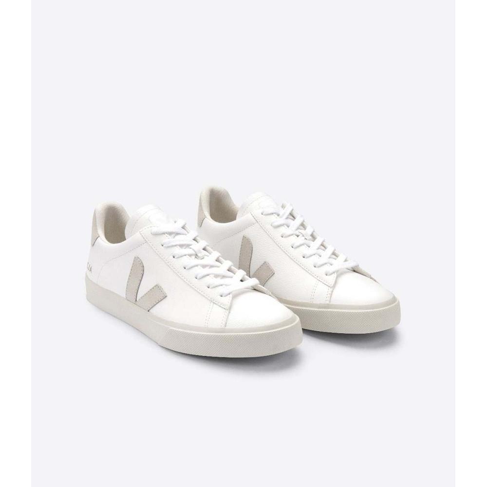 Veja CAMPO CHROMEFREE Low Tops Sneakers Panske White/Beige | SK 296EBC